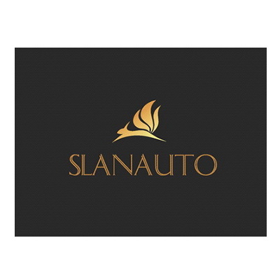 Логотип для интернет-магазина автоаксессуаров, автотюнинга и автосвета "SlanAuto"